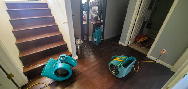 Best Fire Damage Restoration  in Henrietta, TX