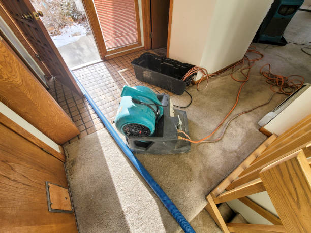 Best Water damage restoration insurance claims  in Henrietta, TX
