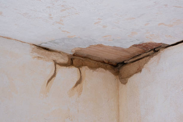 Best Residential water damage restoration  in Henrietta, TX