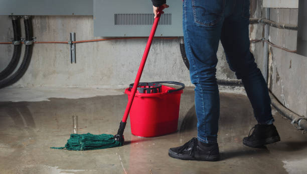 Best 24/7 water damage repair  in Henrietta, TX