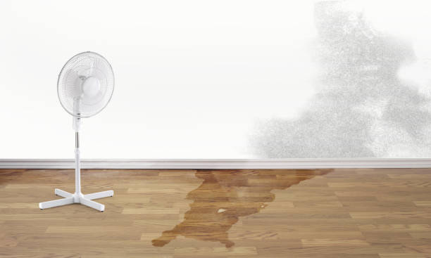 Best Local water damage restoration  in Henrietta, TX
