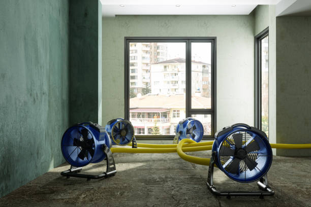Water damage restoration insurance claims in Henrietta, TX
